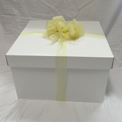 The Large White Box